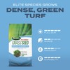 Scotts Turf Builder Grass Seed Kentucky Bluegrass Mix with Fertilizer