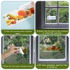 24pcs Window Fly Traps Sticker for Indoors, Fruit Styled Transparent