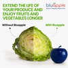 Bluapple Produce Saver Ethylene Gas Absorber 1 Year Combo Pack