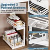 BXINREDA Under Sink Organizers and Storage, 2 Tier Slide Out