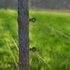 Cididu 120 Pack Electric Fence Insulator, Fence Ring Post Insulator,