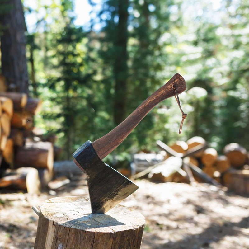 Angoily U11WS00F46HRX2MD Wooden Axe Handle for Replacement for Wooden Handle