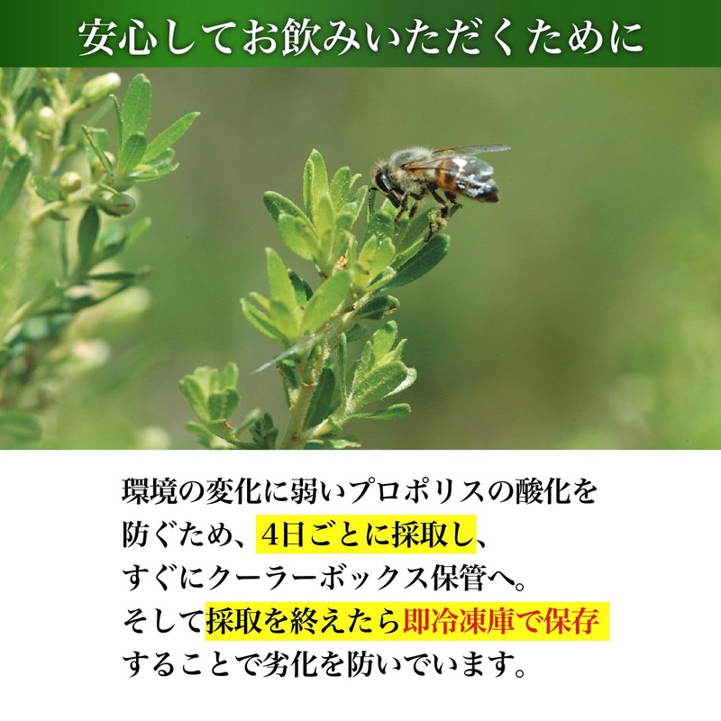 Yamada Beekeeba Propolis 300 Bags (100 Balls / About 1
