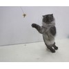 Cat Dancer 101 Cat Dancer Interactive Cat Toy, 3 Pack