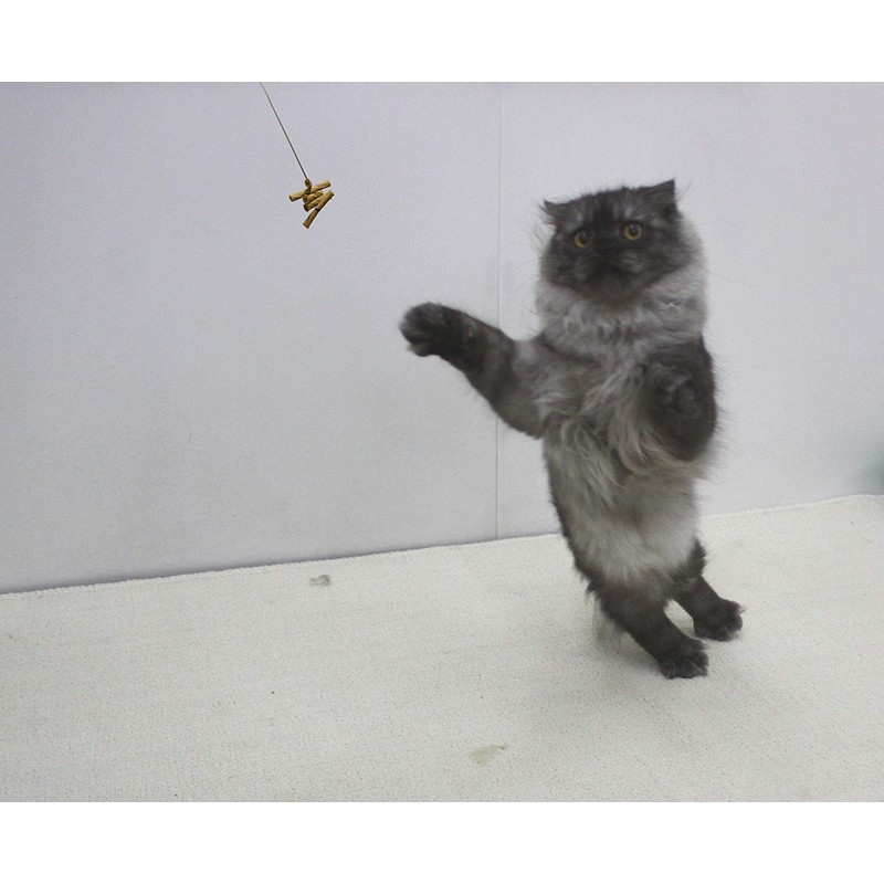 Cat Dancer 101 Cat Dancer Interactive Cat Toy, 3 Pack