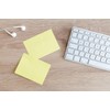 Evergreen Goods Haftnotizen, selbstklebend, ablösbar, 100 Blatt pro Block, 76