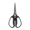 Shimano CT-041Y Spassier, Medium, Black