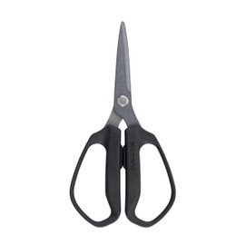 Shimano CT-041Y Spassier, Medium, Black