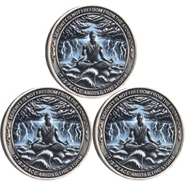 Strugglejewelry Serenity Peace Within The Storm Sobriety Chip AA Medallion with Serenity Prayer Perfect for AA Recovery and Motivation (Pack of 3)