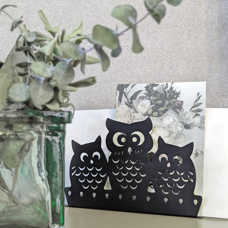 Mango Steam Tabletop Napkin/Tissue & Letter Holder for Home, Kitchen,