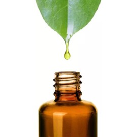 Enchanted Waters 100% Organic Batana Oil - Pure, Natural Hair & Skin Moisturizer - 3.4oz