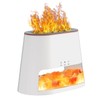 BieJiahWeiBie Luxury Himalayan Salt Lamp Humidifier & Aromatherapy Diffuser -