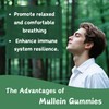 Putaojun Mullein Gummies for Lung Cleanse | Organic Immune Support