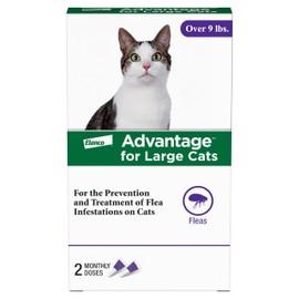 Advantage Topical Cat Flea Treatment and Prevention for Large Cats Over 9 lbs. | Apply Flea Drops Monthly | 2 Treatments