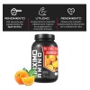 Aminoácidos Maximo 1 Kg 200 Servicios Varios Sabores