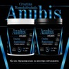 Creatina Monohidratada 500gm Anubis En Polvo Varios Sabores