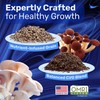 Surfin' Spores Mushroom Grow Kit | 4 lb Grow-in-Bag Kit/Monotub