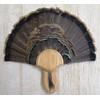 Taxidermists Woodshop The Medium Oak Turkey Mounting Kit with Beard