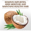 Biosilk Silk Therapy with Organic Coconut Oil Moisturizing Shampoo, 5.64