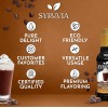 Syruvia Swiss Chocolate Mocha Syrup 25.4 fl oz, Perfect for