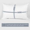 EDOW Luxury Soft Pillows for Sleeping, Fluffy Down Alternative Polyester