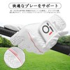 ゴルフグローブ レディース マイクロファイバーレザー 2枚セット 柔らかめ 伸縮・通気・耐摩耗・滑りにくいグリップ 雨 汗に強い 全天候モデル ゴルフウェア