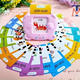 Bilingual Vietnamese English flashcard readers - Specification: Pink