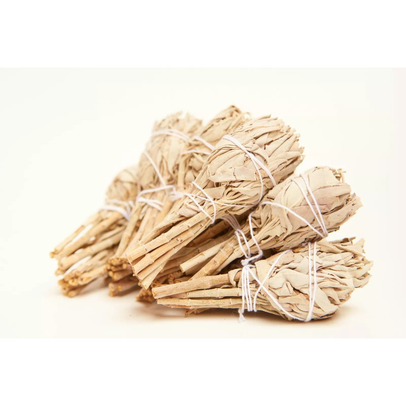 Age of Aquarius California White Sage Wholesale Bundle: 12 White