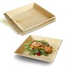 DISPOSABLE GREEN - Square Disposable Plates, Areca Leaf Serving Plates,