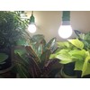 Miracle LED Hydroponics LED Indoor Grow Light Kit - Includes