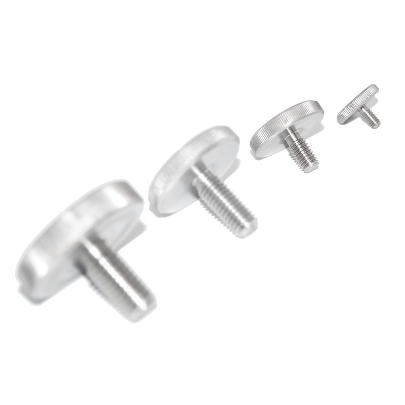 Knurled Screws M8X20 Set Screws DIN 653 A1 Stainless Steel
