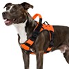 WINGOIN Orange Tactical Dog Harness for Medium Dogs, Heavy Duty