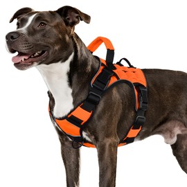 WINGOIN Orange Tactical Dog Harness for Medium Dogs, Heavy Duty No Pull Dog Harness with Handle, Adjustable Reflective Military K9 Pet Vest for Pitbull, Female, Male, Walking, Training, Hunting (M)
