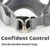 ORYEDA Dog Harness No Pull for Small Size, Easy Walk