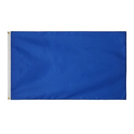 2 Pack Blue 3x5 Feet Solid Color Flags,Color Plain Blue Flag Heavy Duty High Wind Fade Resistant, Embroidered Solid Color Flag with Brass Grommets,,DIY Decoration.
