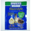 Sav-A-Caf Sav-A-Chick Electrolyte & Vitamin Supplement - 3 Pack/.25oz.