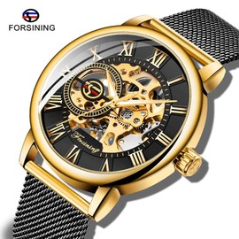 Dentily Mens Watches Classic Roman Numeral Mechanical Watch Hand-Wind Skeleton Steampunk Watch