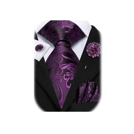 Hi-Tie Ties for Men Black Red Green Pink Mens Ties Set Silk Necktie and Pocket Square Flower Lapel Pin for Wedding, Purple and Black