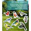 Garbuildman Extra-Large Freestanding Birdbaths Bowl, Detachable Decoration Spa with Metal