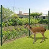 Garden Netting, 7 x 100 FT Bird Netting for Garden