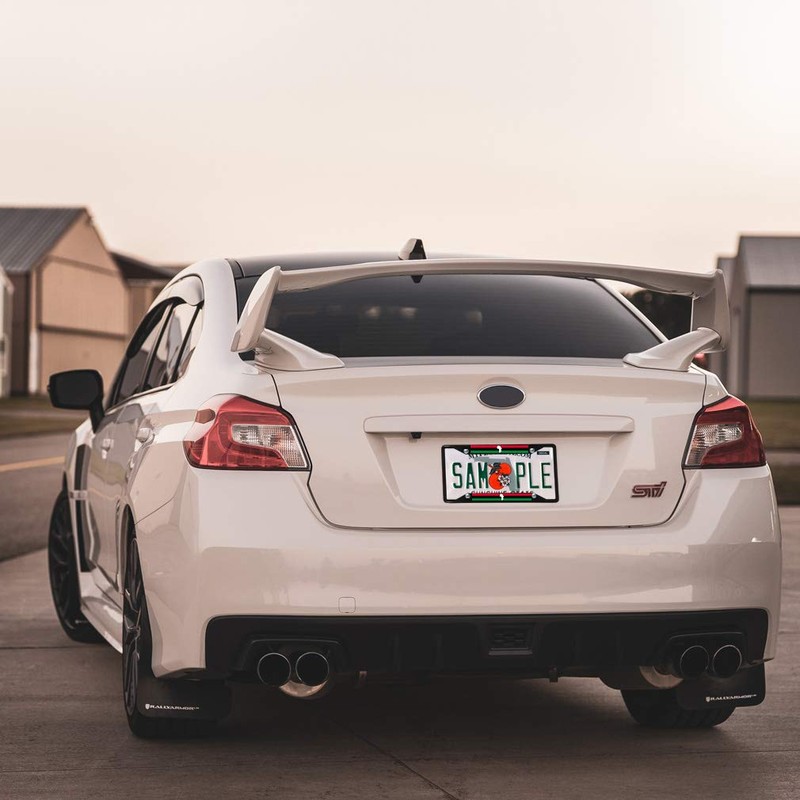 Fastasticdeals Metal Insert License Plate Frame Pan African Flag with