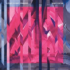 Transfixiation by A Place to Bury Strangers, Place to Bury Strangers [Vinyl]