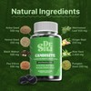 Candisite | Candida Cleanse | 10-in-1 Advanced Formula - Wormwood,