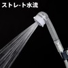 Plus Shower Head, Ultra Fine Mist, Chlorine Reducing, Beauty Shower