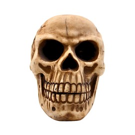 Dekohelden24 Stoneware Skull Organiser with Glasses Holder and Storage Compartment in Beige Dimensions L x W x H 16 x 20 x 17 cm 20 cm