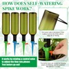SiliFine 8 Set Plant Watering Devices with Self Watering Spikes