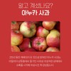 Siwol Oil Partner Anoka Apple Extract Powder Extract 100g Anoka