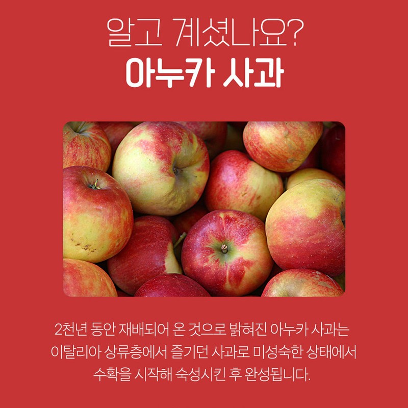 Siwol Oil Partner Anoka Apple Extract Powder Extract 100g Anoka