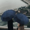 Windproof Umbrella Automatic Open and Close for Men and Women,