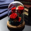 TEATSIGHT Preserved Flower Arrangement, Wrapped Glass Pot, 5 Wheels (Rose,